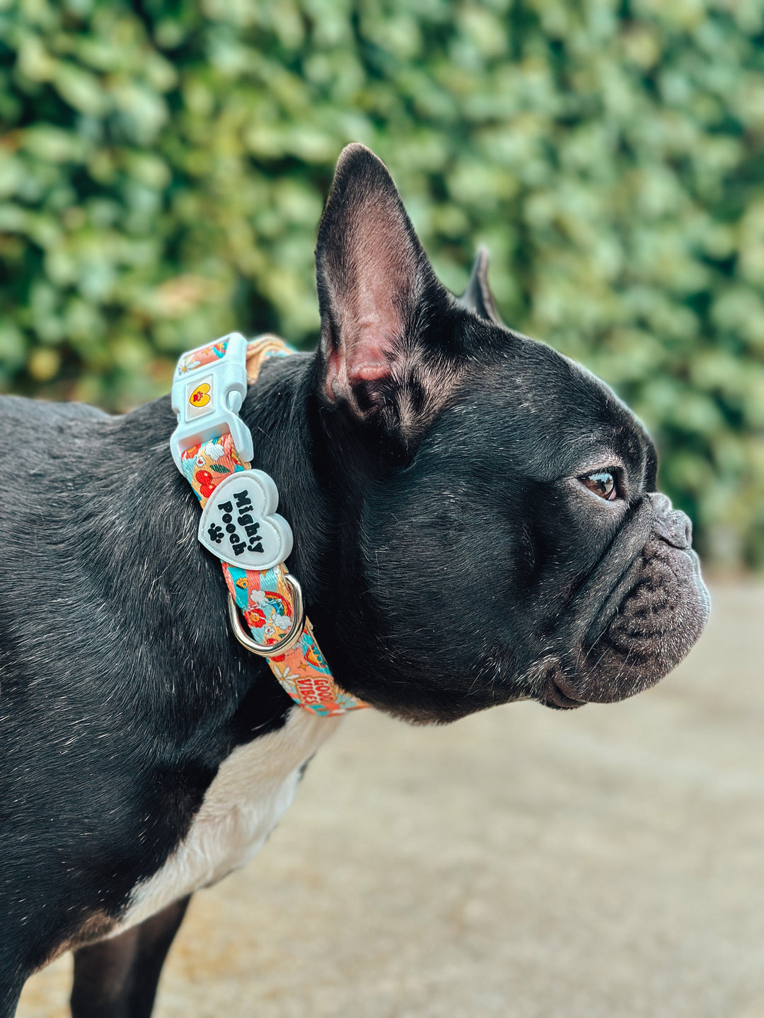 Comfort Collar - Retro Babe ☮️
