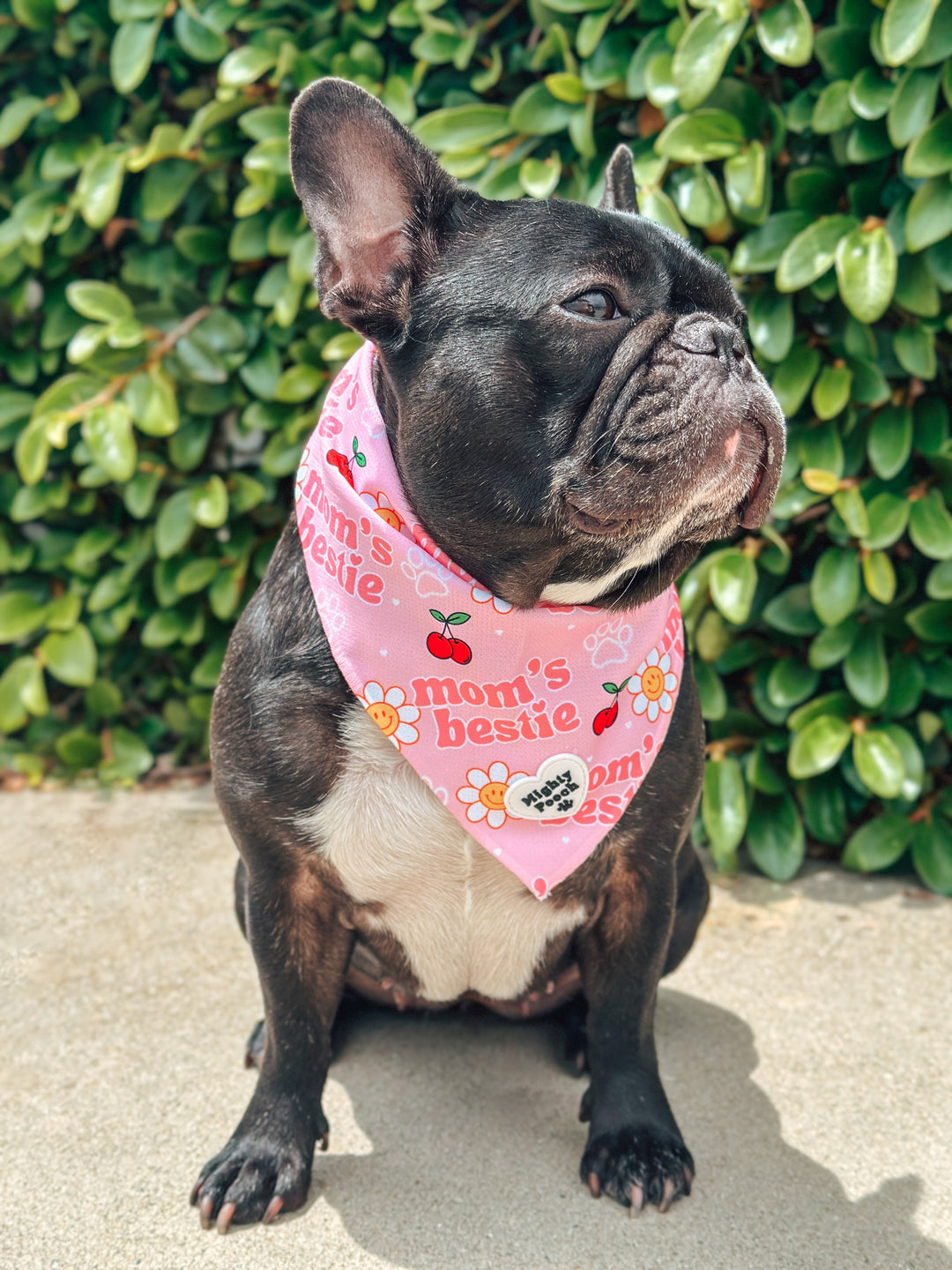 Cooling Bandana - Mom’s Bestie 🎾🍒