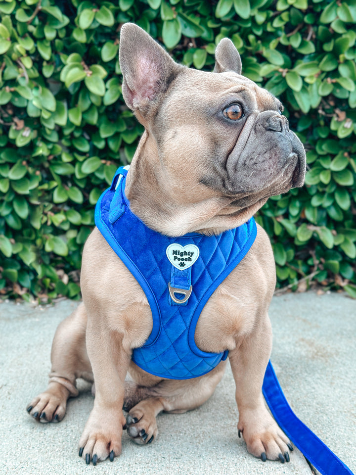 Velvet Adjustable Harness - Sapphire 💙