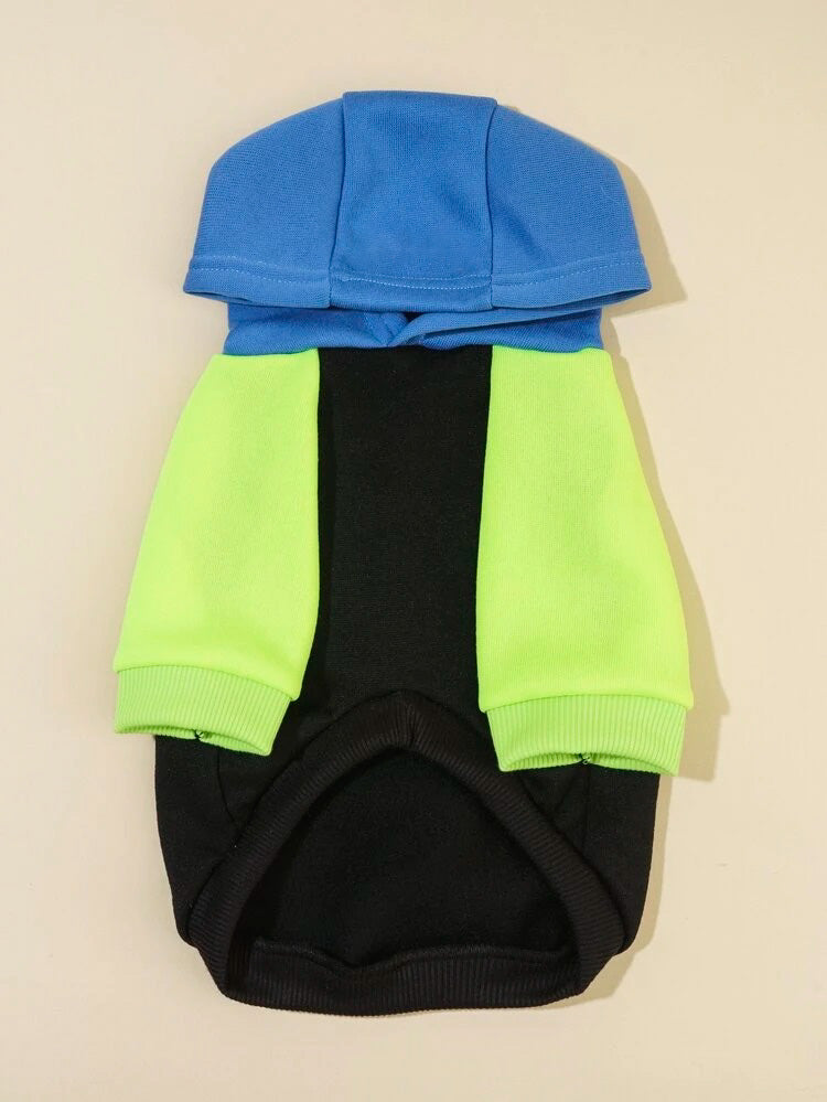 Block Colored Hoodie