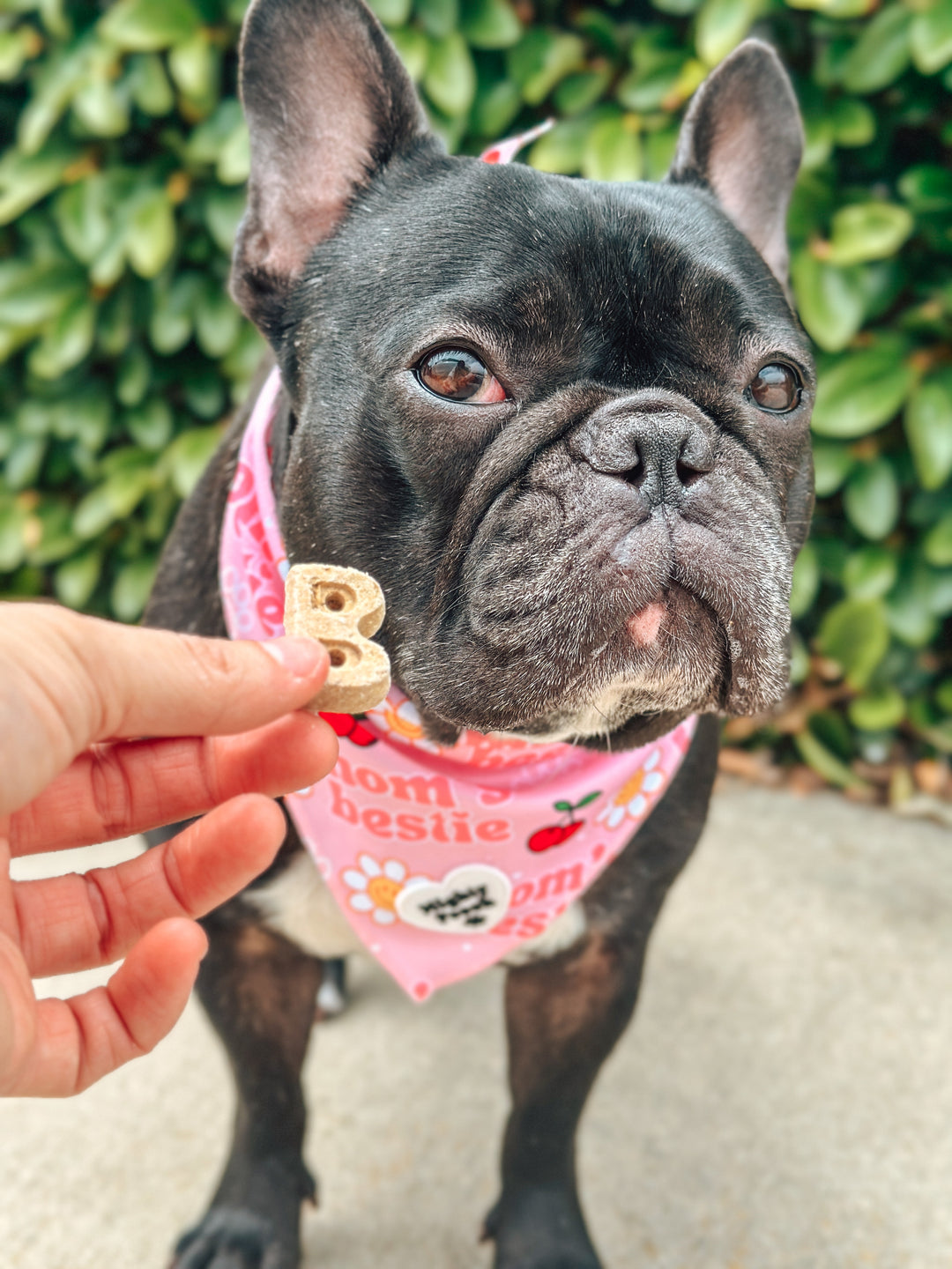 Cooling Bandana - Mom’s Bestie 🎾🍒