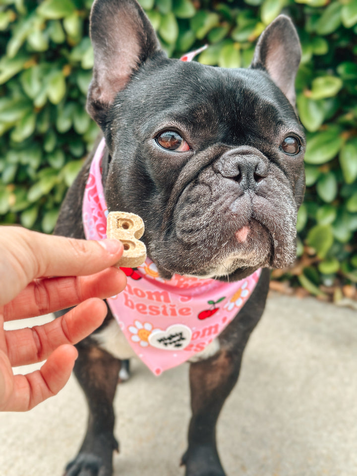 Cooling Bandana - Mom’s Bestie 🎾🍒