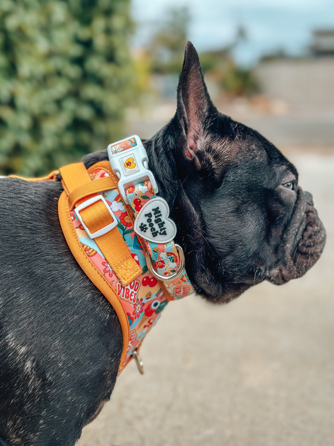 Comfort Collar - Retro Babe ☮️