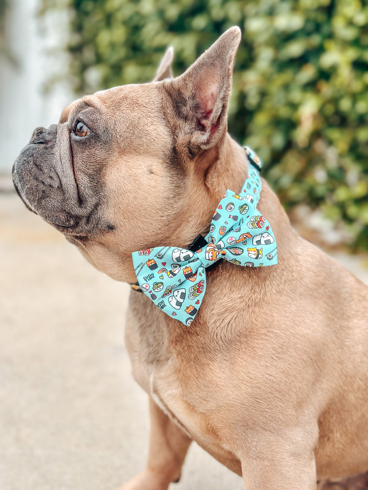 Bow Tie - Sushi Time 🍣