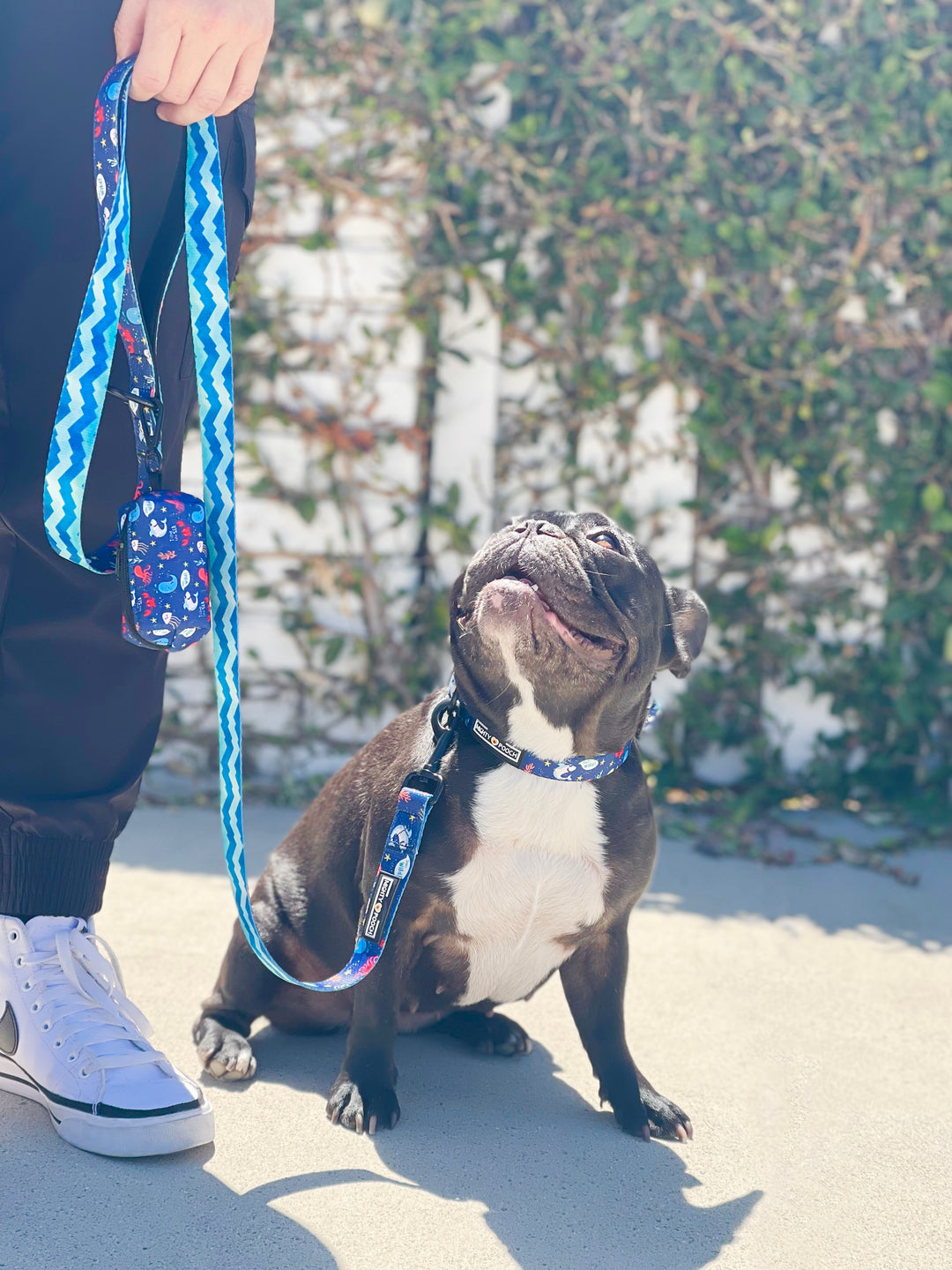 Comfort Leash - Under the Sea 🦀
