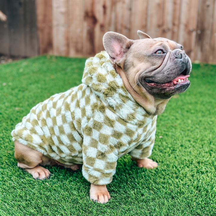 Green Checkered Hoodie