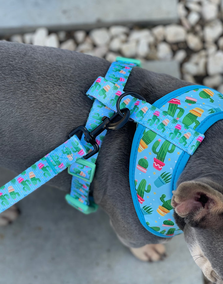 Reversible Harness - Cactus 🌵
