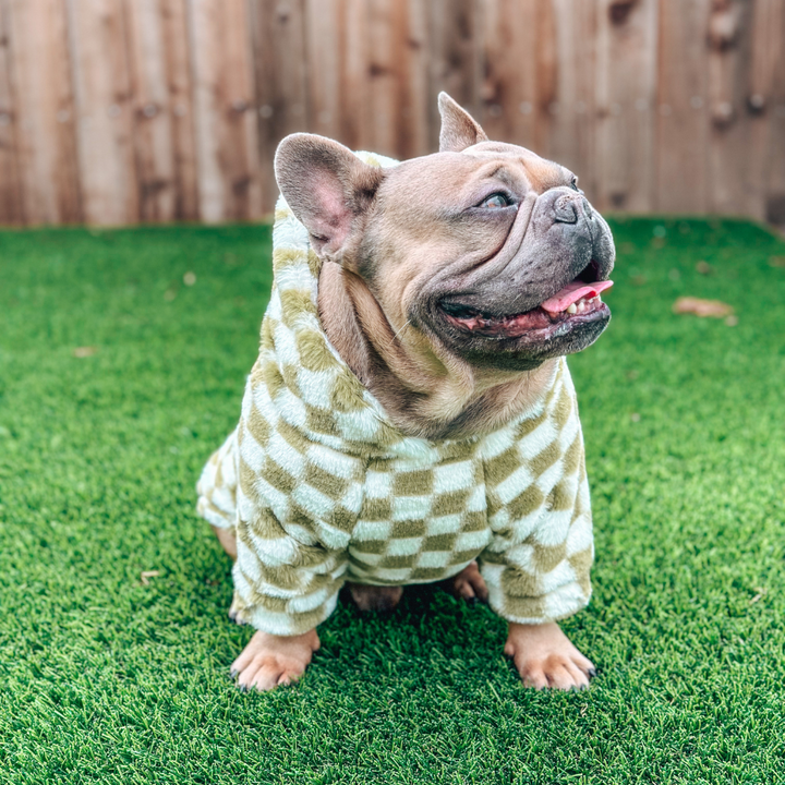 Green Checkered Hoodie