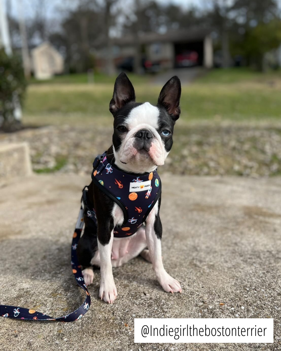 Adjustable Harness - Space Jam 🚀
