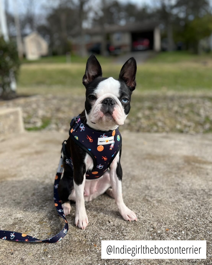 Adjustable Harness - Space Jam 🚀