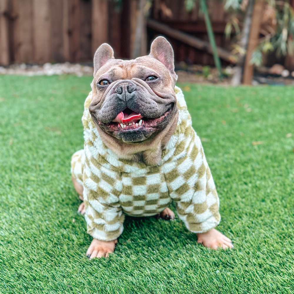 Green Checkered Hoodie