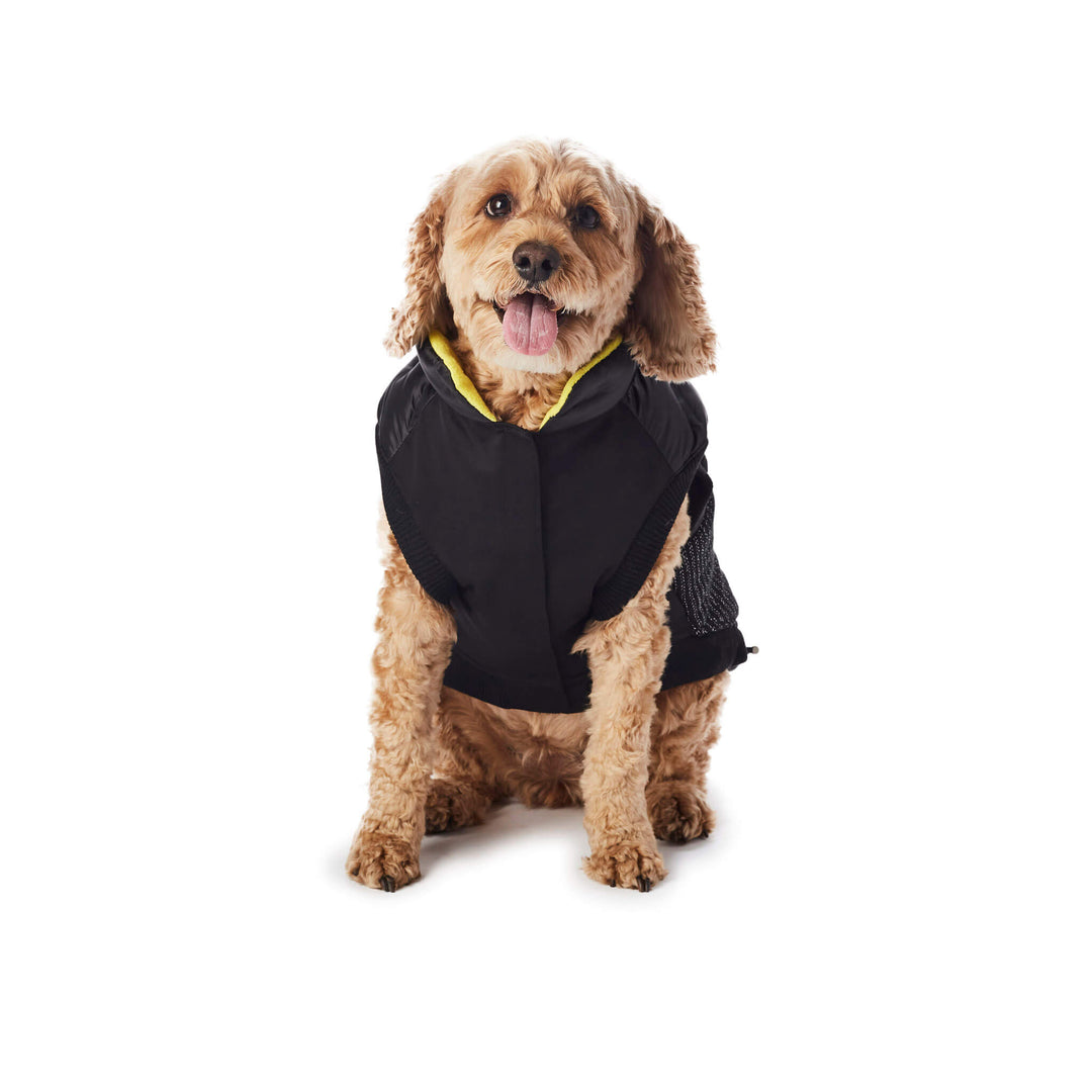 Hotel Doggy x Mighty Pooch - Adventure Wear - Hybrid Vest