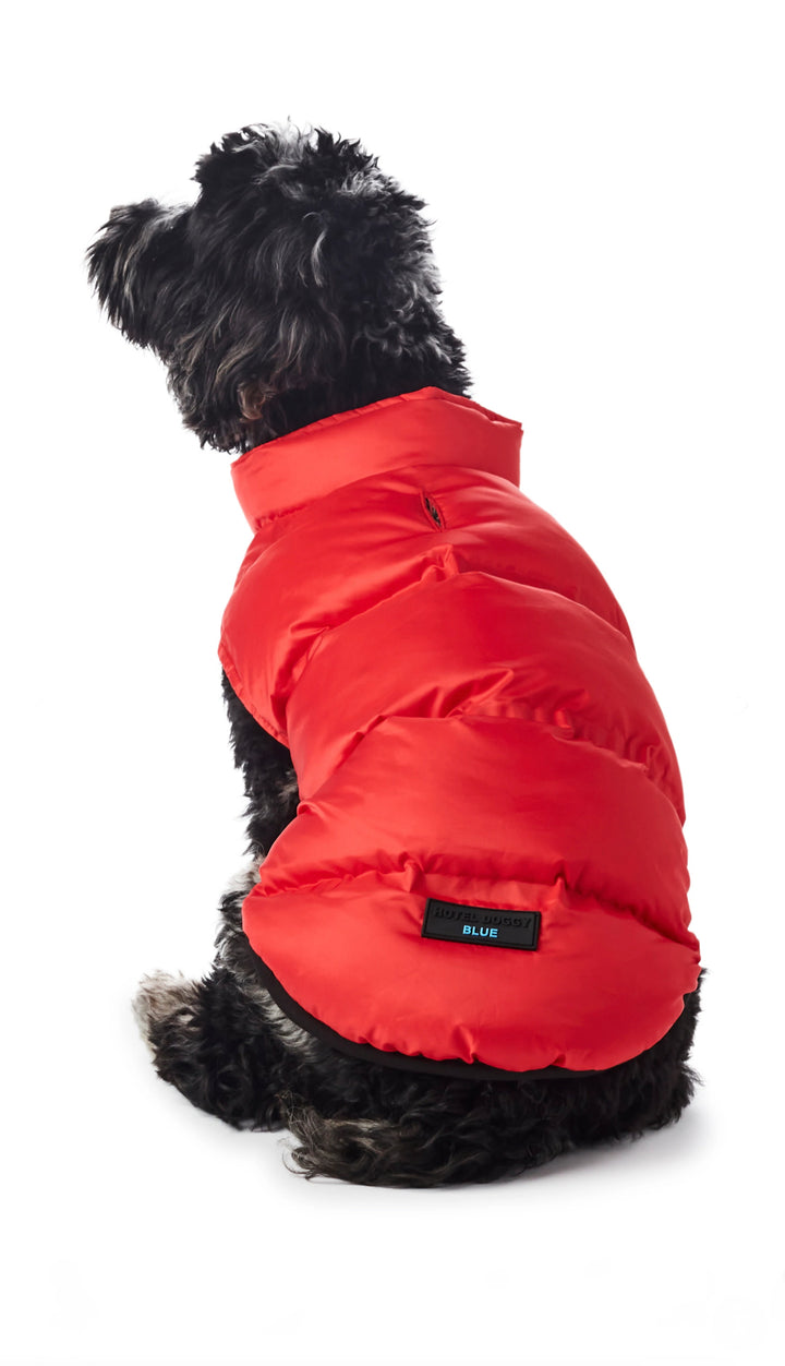 Hotel Doggy x Mighty Pooch - Adventure Wear - Pawfect Puffer