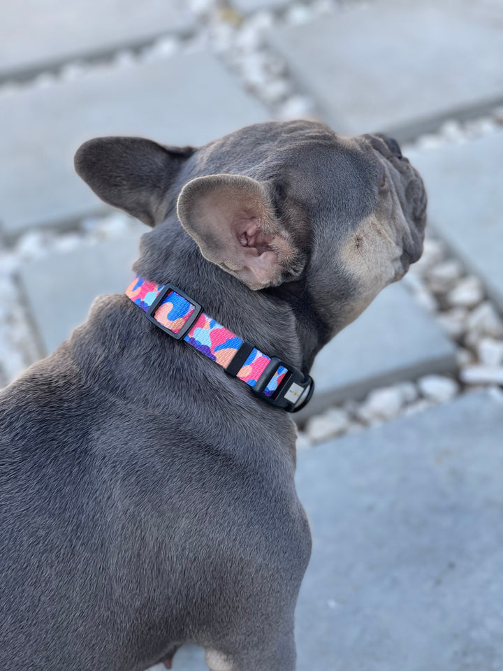 Comfort Collar - Camo ❤️