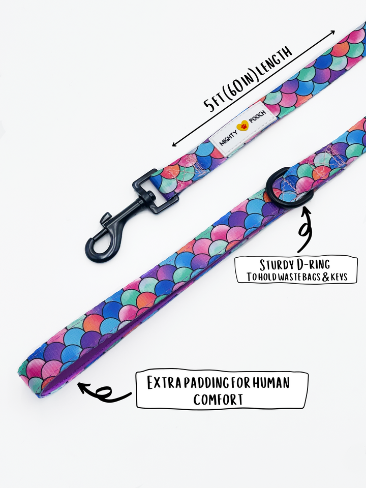 Comfort Leash - Fish Scale 🐟