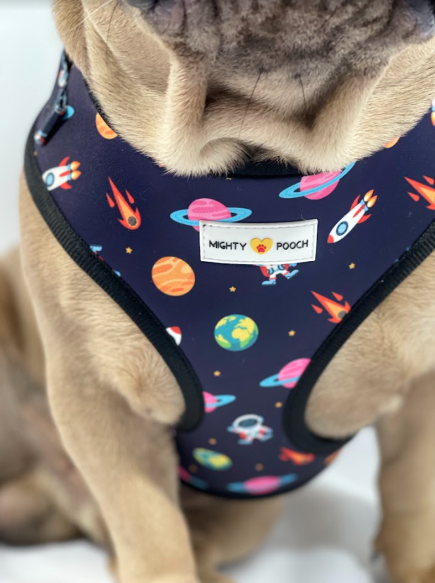 Adjustable Harness - Space Jam 🚀