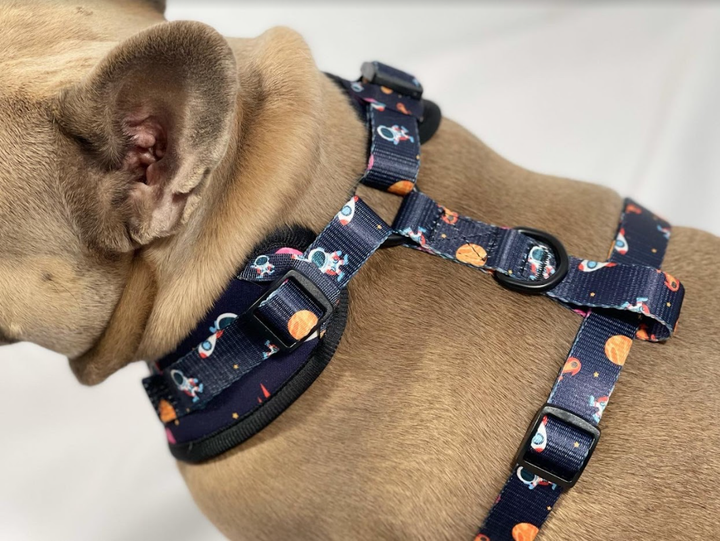 Adjustable Harness - Space Jam 🚀
