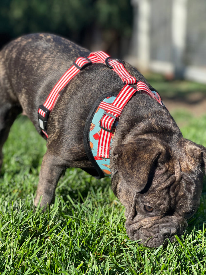Adjustable Harness - Cheat Meal 🍔