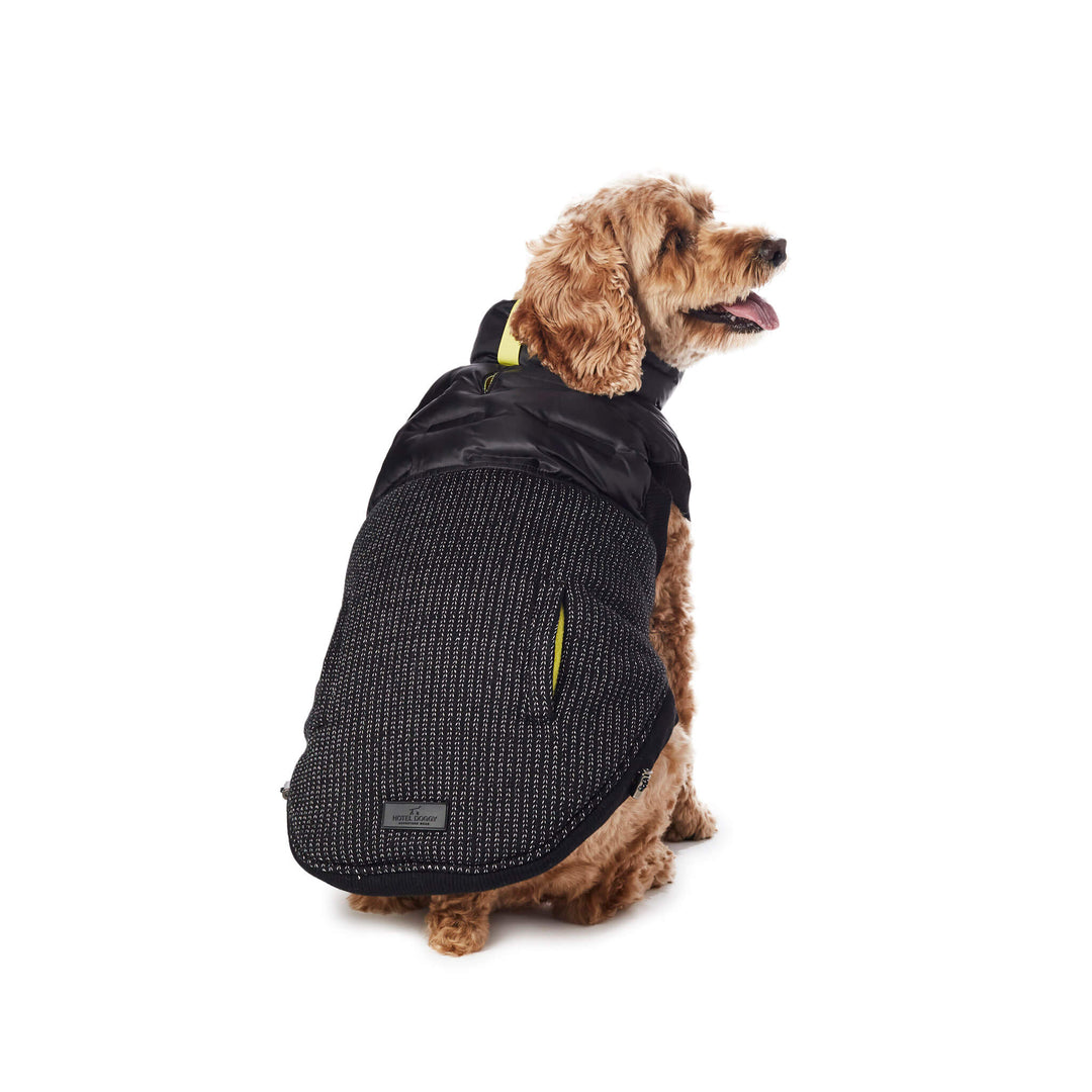 Hotel Doggy x Mighty Pooch - Adventure Wear - Hybrid Vest
