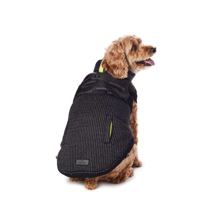 Hotel Doggy x Mighty Pooch - Adventure Wear - Hybrid Vest