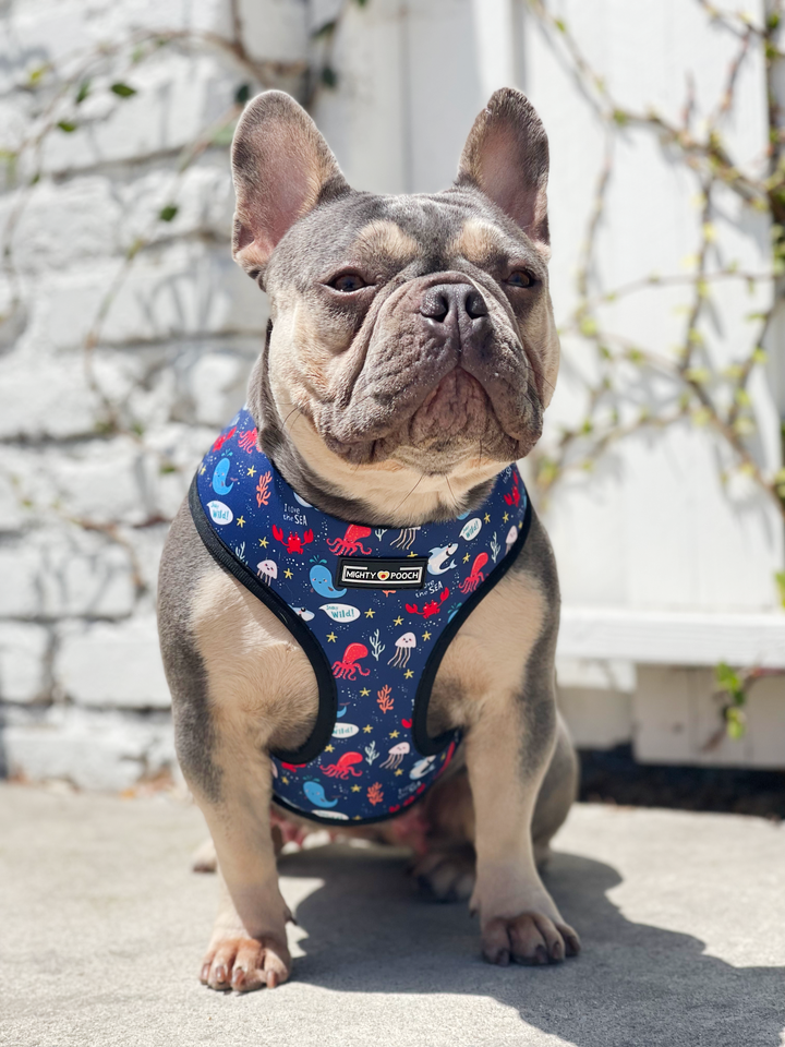 Reversible Harness - Under the Sea 🦀
