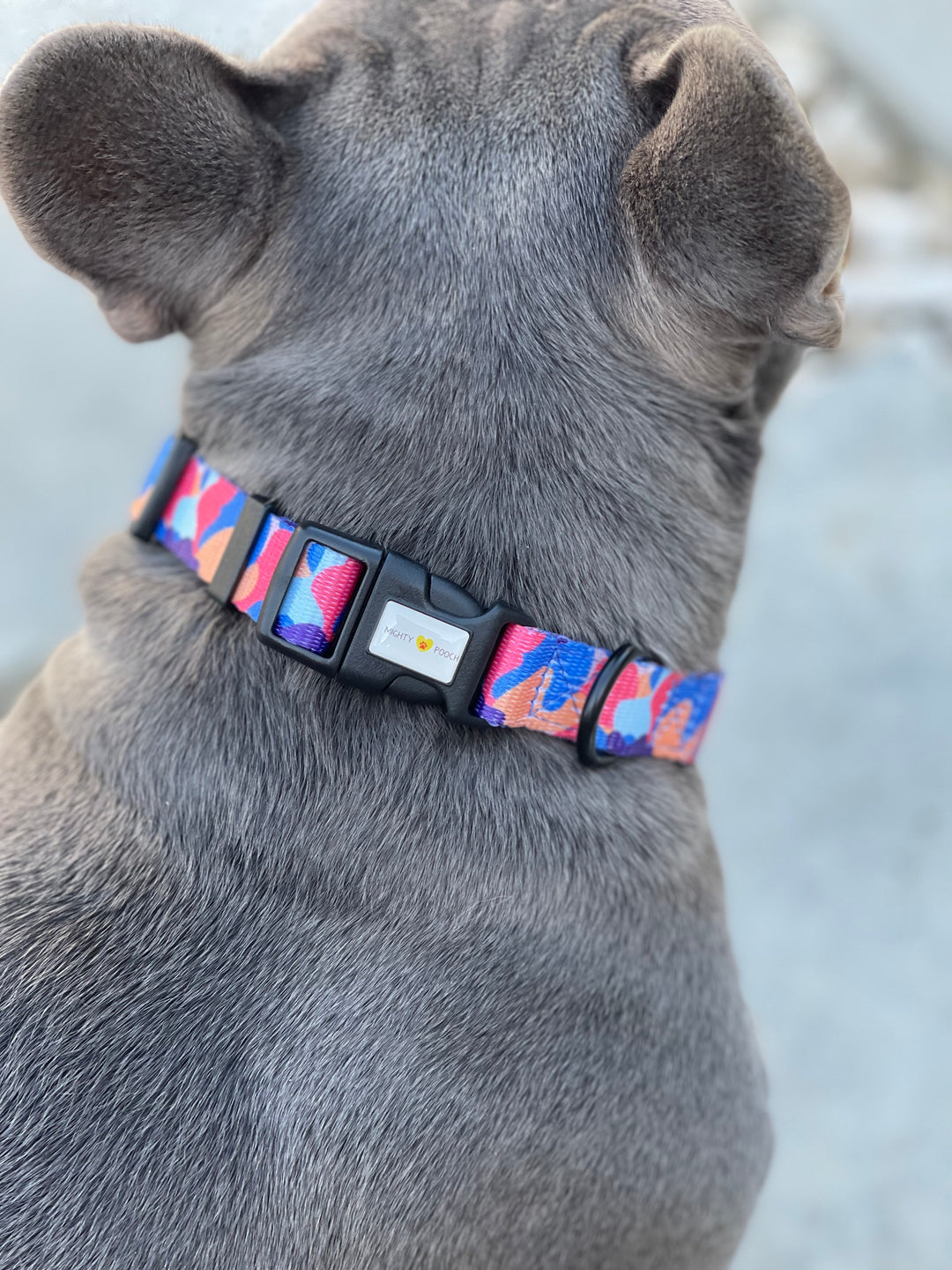 Comfort Collar - Camo ❤️