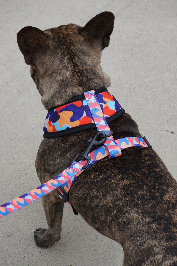Comfort Leash - Camo ❤️