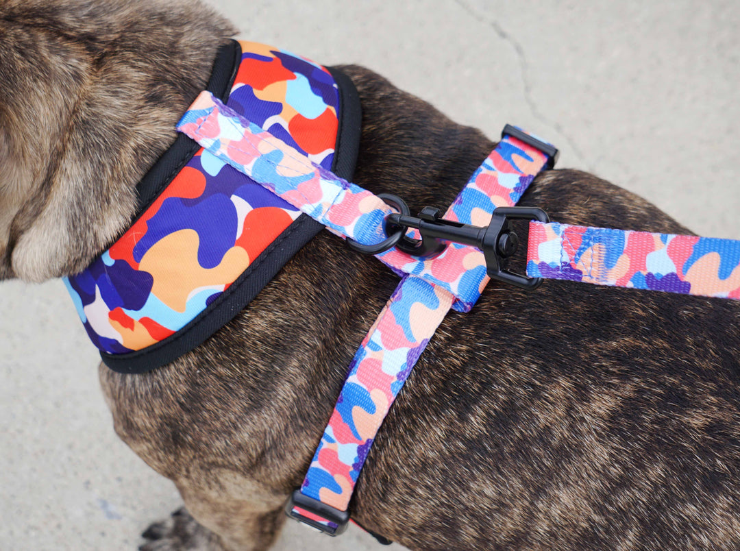 Reversible Harness - Camo ❤️