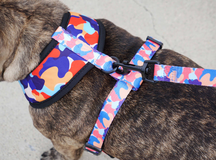 Reversible Harness - Camo ❤️