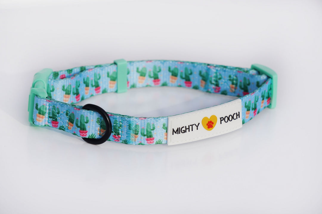 Comfort Collar - Cactus 🌵