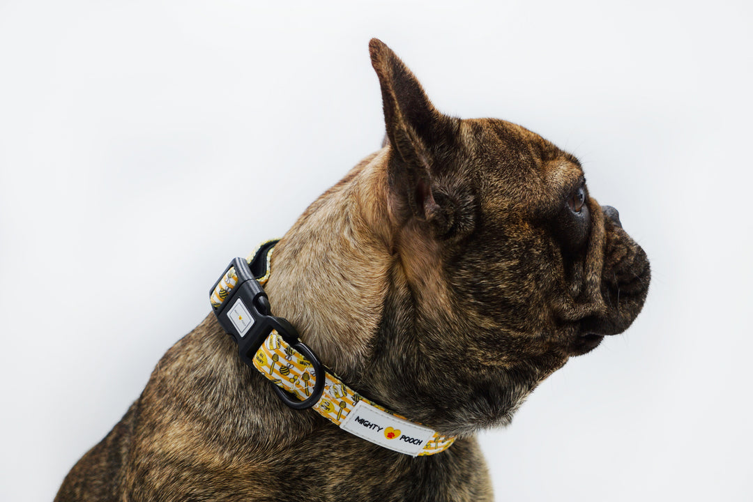 Comfort Collar - Honey Bee 🐝