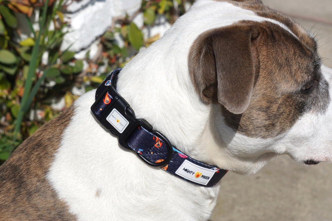 Comfort Collar - Space Jam 🚀
