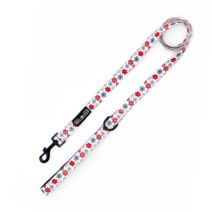 Comfort Leash - Dayzie 🌼