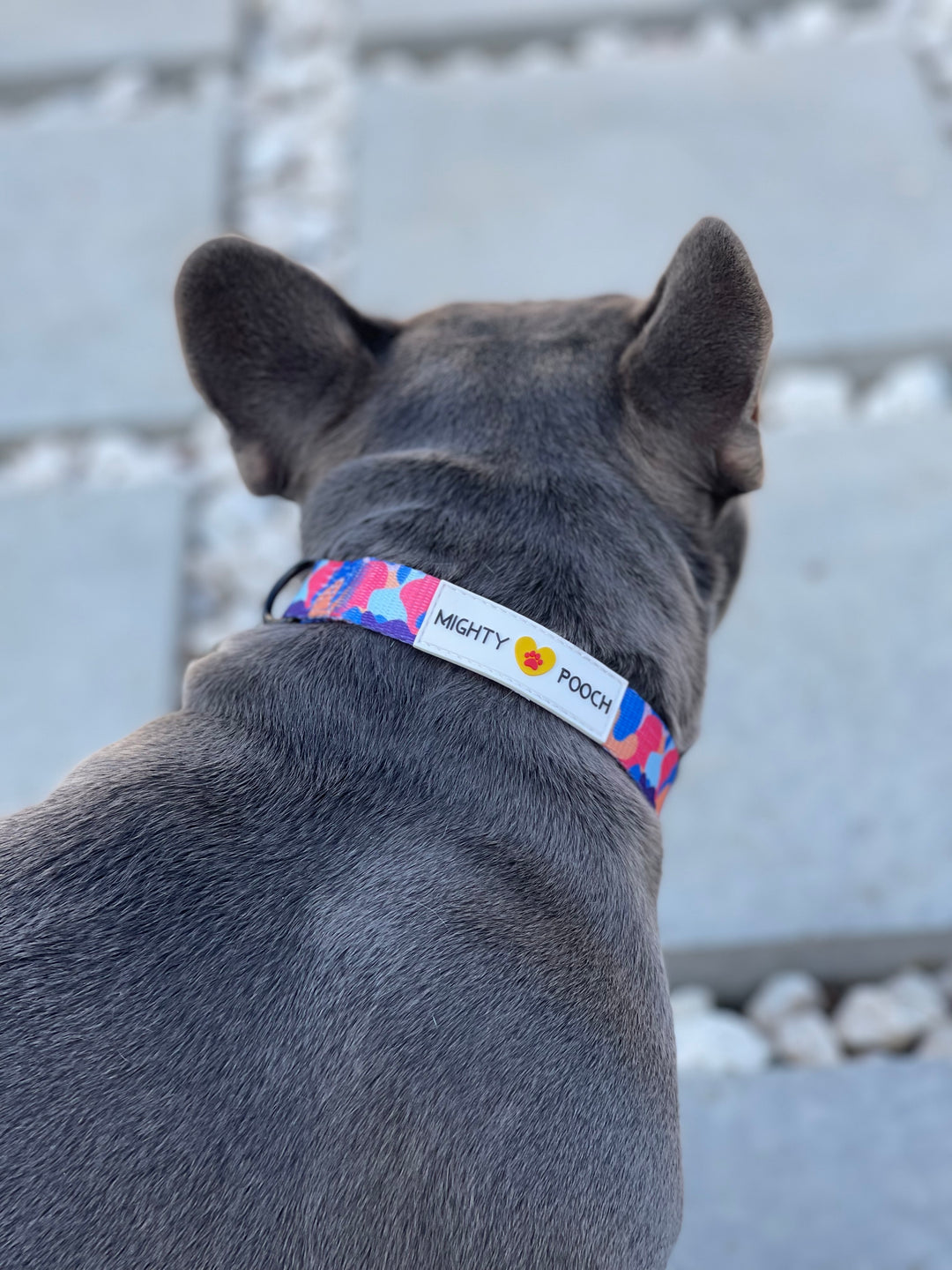 Comfort Collar - Camo ❤️
