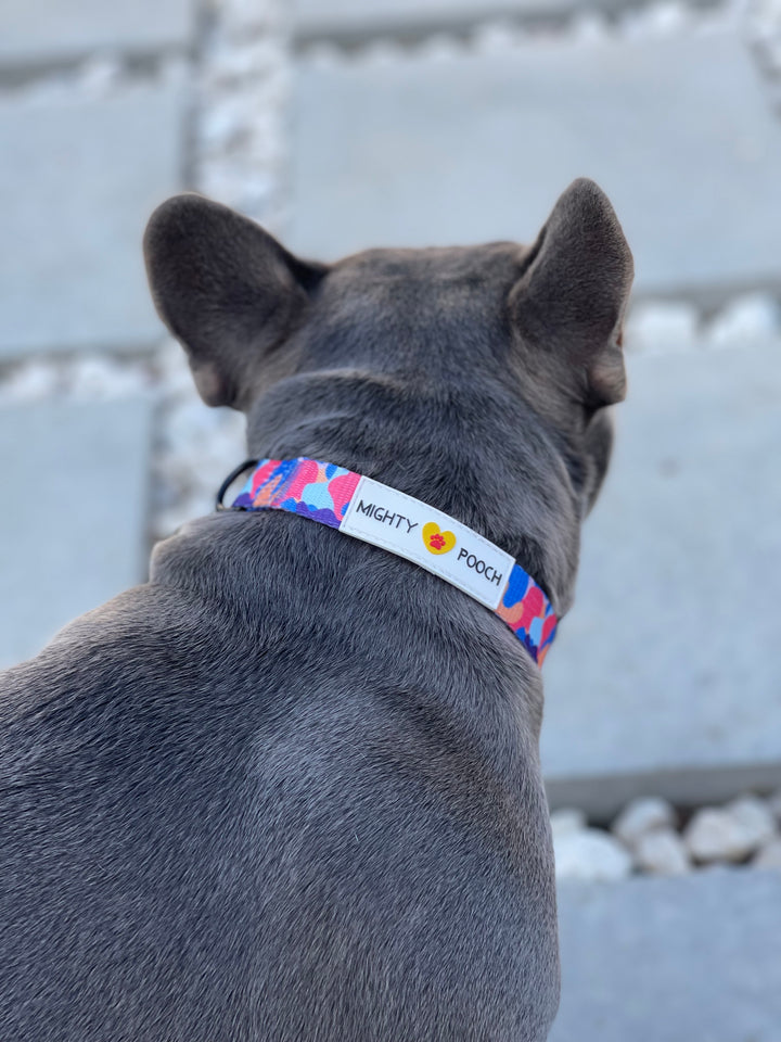 Comfort Collar - Camo ❤️
