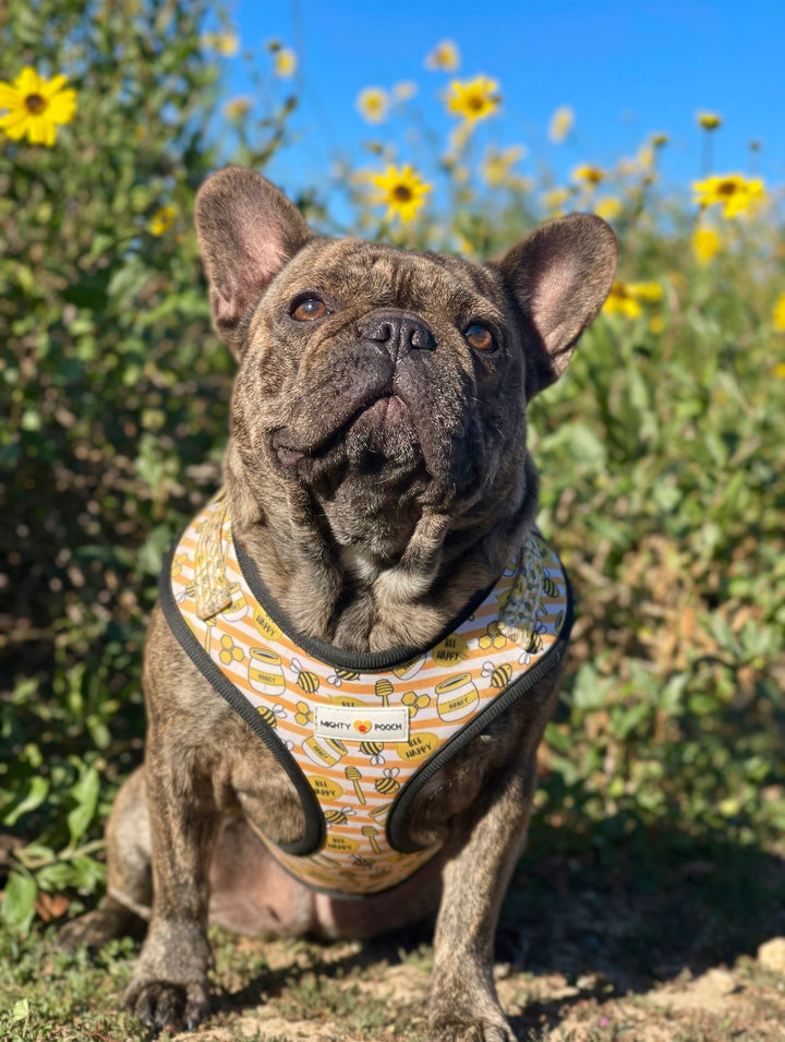 Adjustable Harness - Honey Bee 🐝