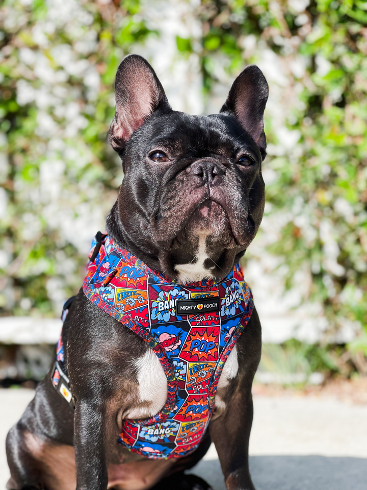 Adjustable Harness - Pop Art⚡