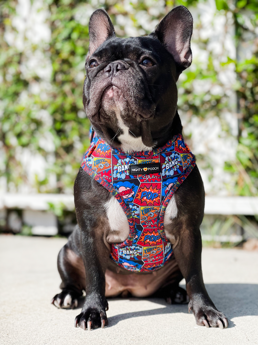 Adjustable Harness - Pop Art⚡