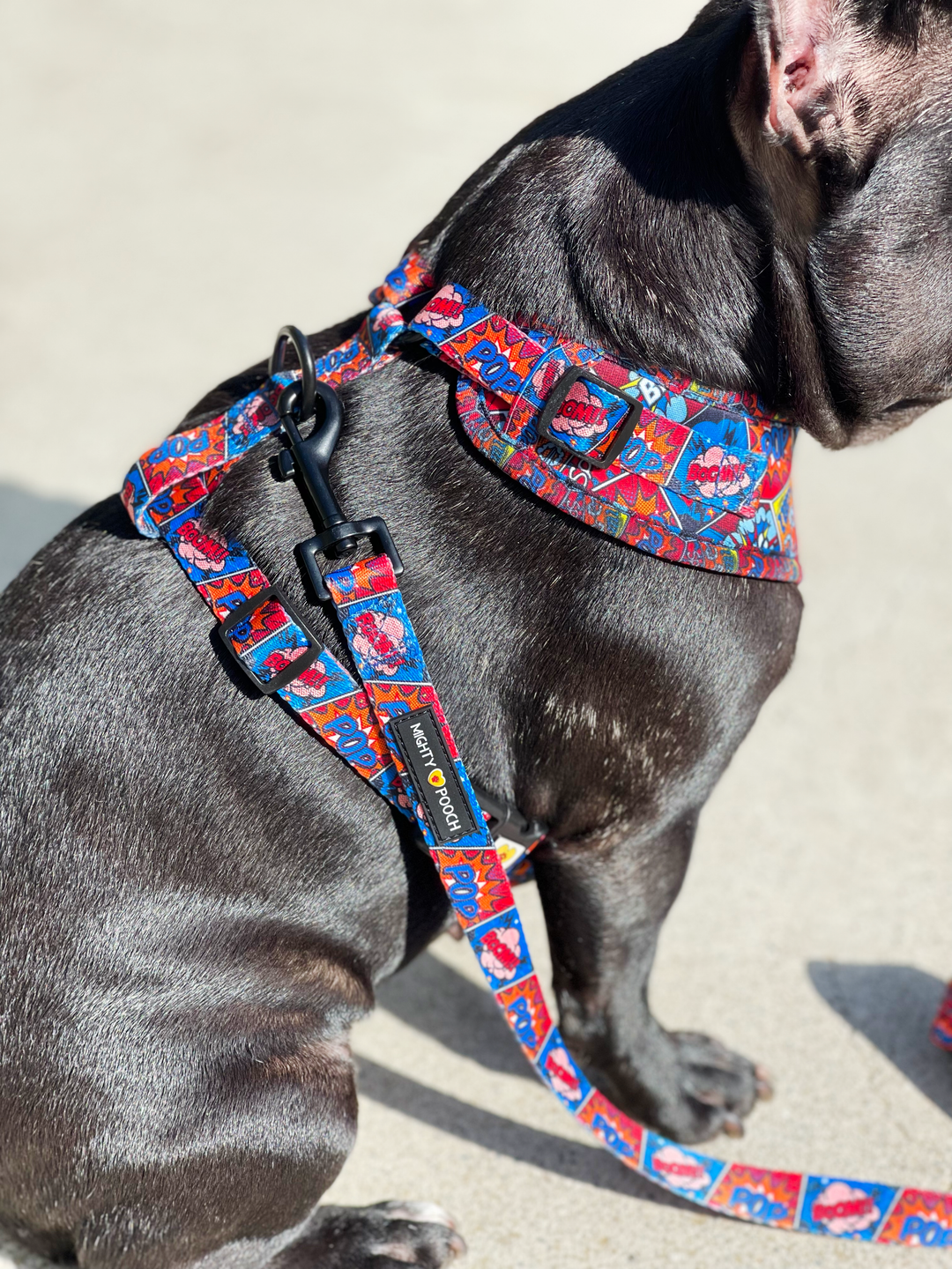 Adjustable Harness - Pop Art⚡