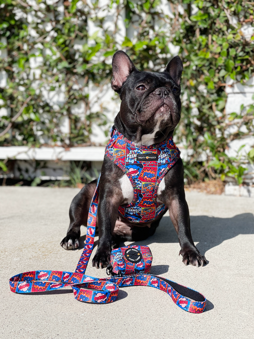 Adjustable Harness - Pop Art⚡