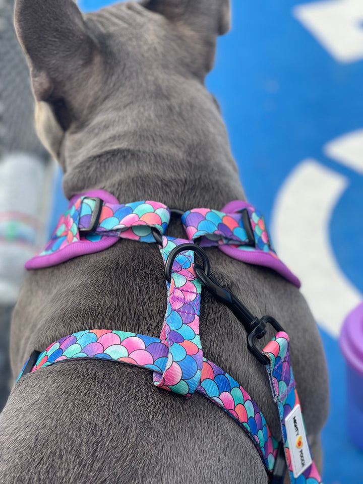 Adjustable Harness - Fish Scale 🐟