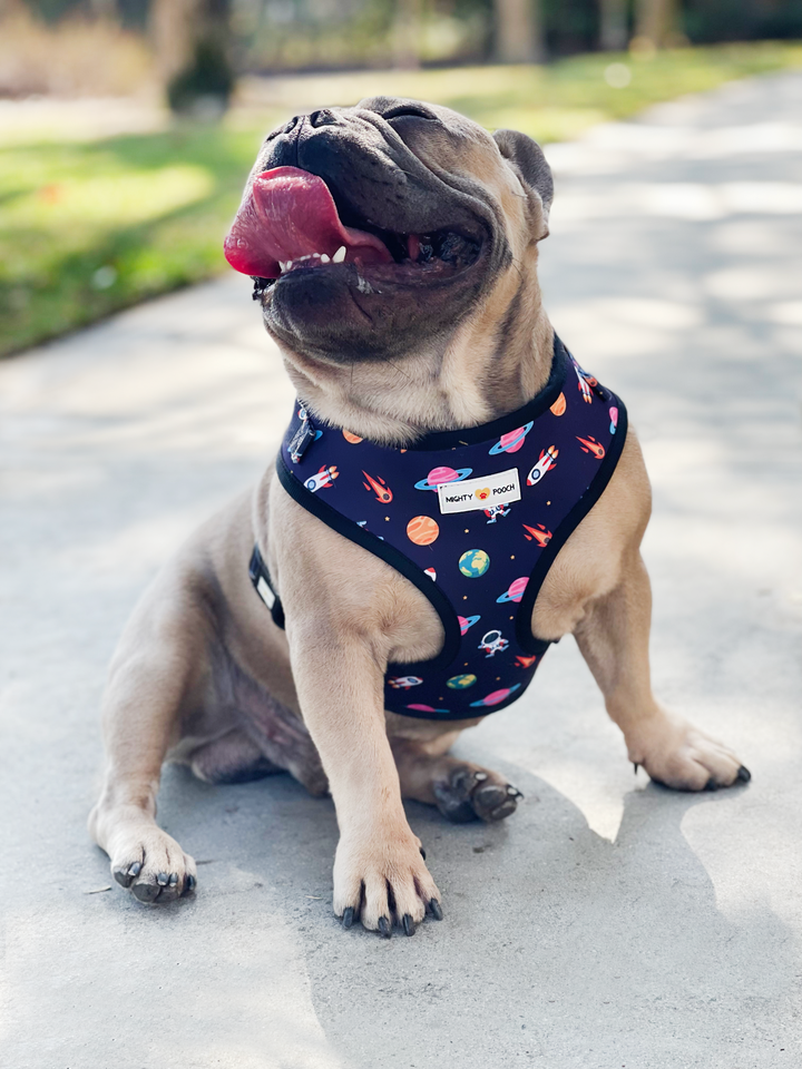 Adjustable Harness - Space Jam 🚀