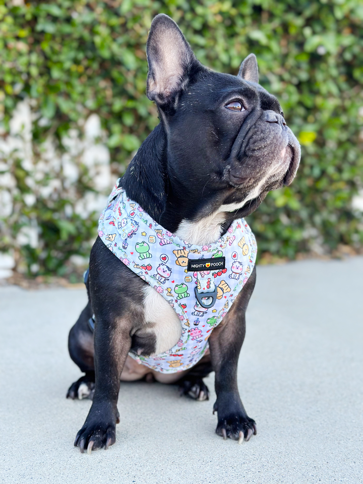 No-Pull Adjustable Harness - Boba Buddies🧋