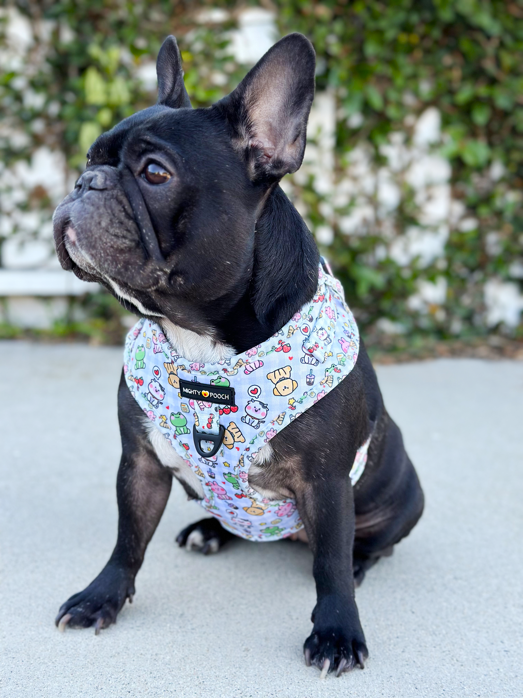 No-Pull Adjustable Harness - Boba Buddies🧋