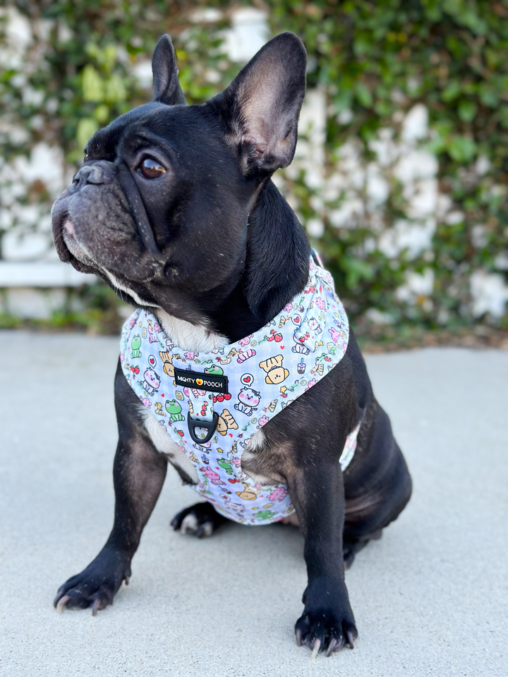 No-Pull Adjustable Harness - Boba Buddies🧋