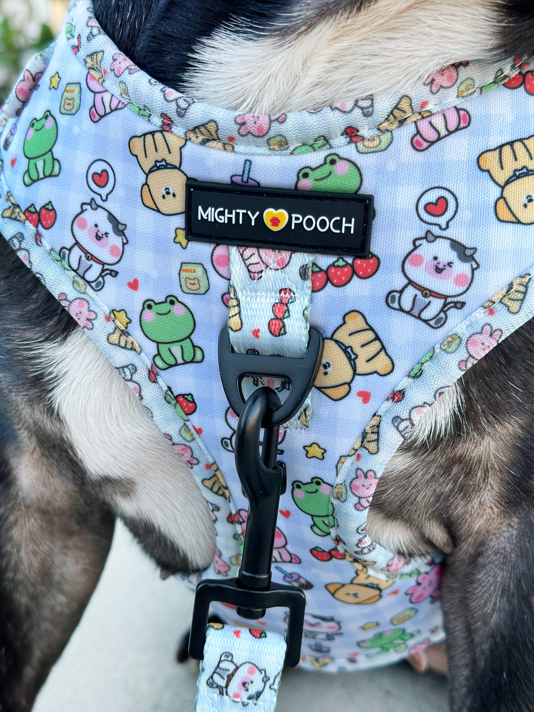 No-Pull Adjustable Harness - Boba Buddies🧋