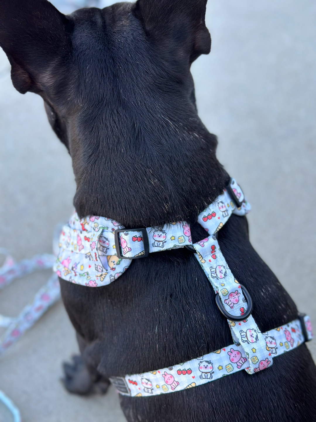 No-Pull Adjustable Harness - Boba Buddies🧋