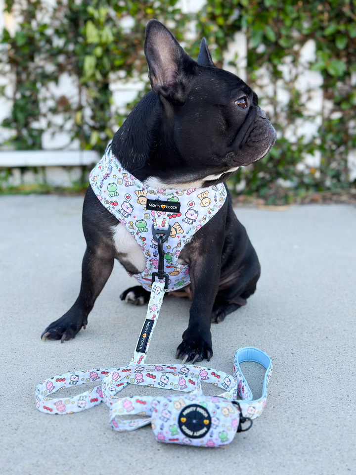 No-Pull Adjustable Harness - Boba Buddies🧋