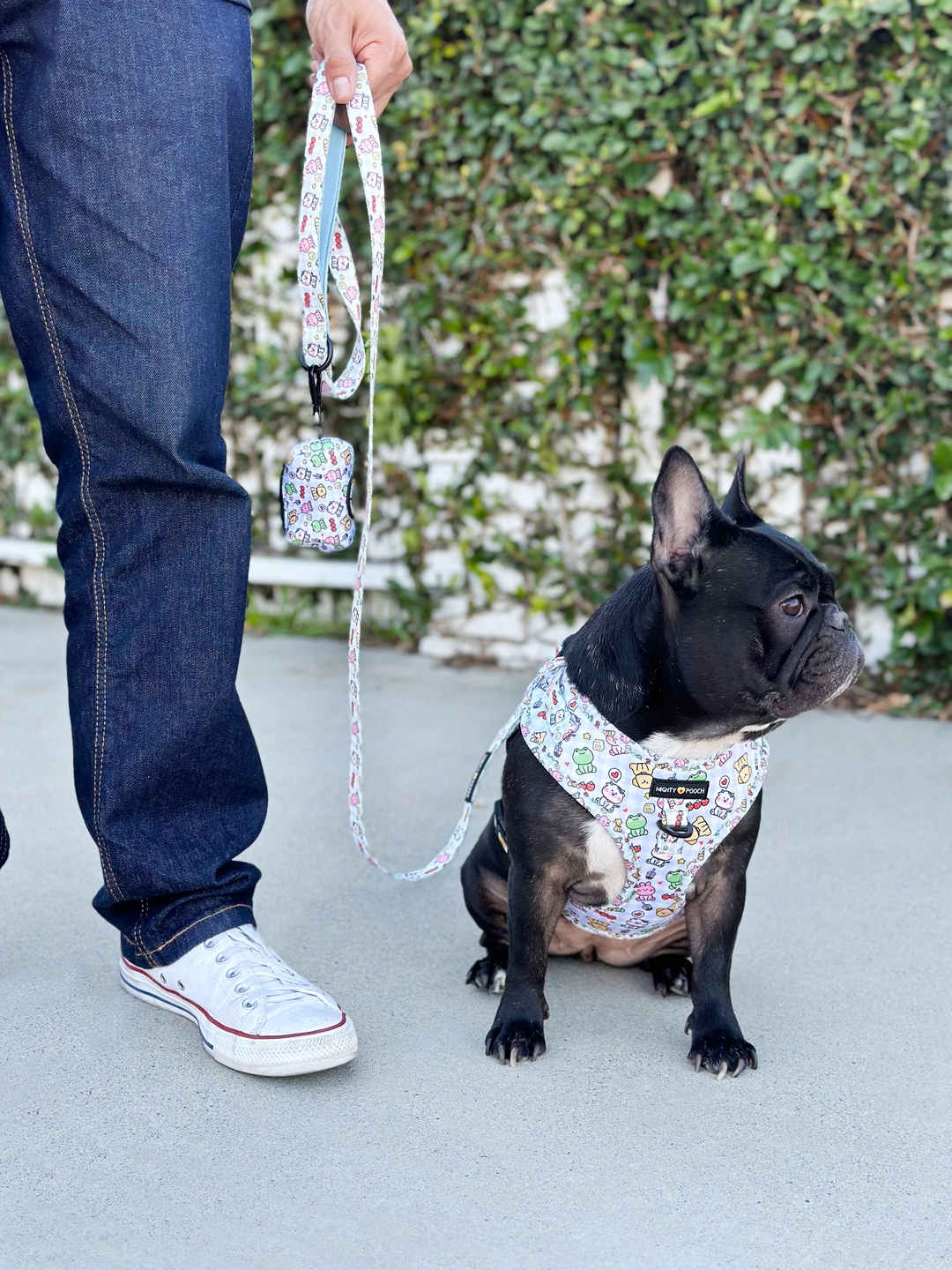 Comfort Leash - Boba Buddies🧋