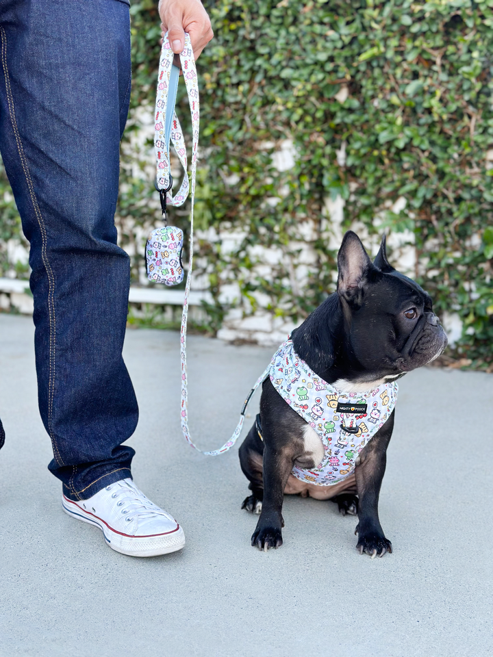 Comfort Leash - Boba Buddies🧋